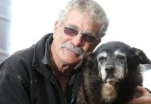 Dünyanın En Yaşlı Köpeği Kaç Yaşında?